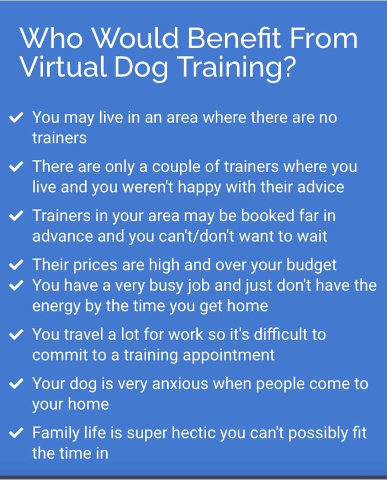 The Doggie Inn Grafton's Premier Dog Boarding & Training Facility