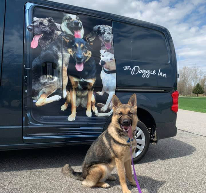 The Doggie Inn Grafton's Premier Dog Boarding & Training Facility